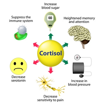 Cortisol Gesundheitstest